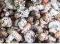 Les champignons de Vernusse - Lot pleurotes gris et shiitakes - 2x1kg