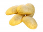 La Ferme d'Arnaud - Pomme de terre (vapeur, risolée) - le kg