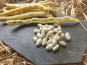 La Ferme de Milly - Anjou - Haricots coco frais à écosser bio - 500g