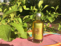 Huile des Orgues - Huile d'Olive Parfumée au Yuzu - 100 ml
