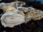 Thalassa Tradition - Huîtres Royales N°2 Utah Beach - 12 pièces