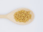 Pasteole - Coquillette nature 10kg