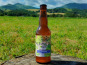 Bipil Aguerria - Bière blanche au citron vert 1x33cl - Lagunak
