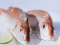 Côté Fish - Mon poisson direct pêcheurs - Pageots 500g