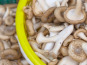Les champignons de Vernusse - Pleurotes gris frais - 500g
