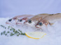 Côté Fish - Mon poisson direct pêcheurs - Capelans 1000g