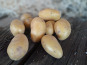 Les Jardins de Gérard - Pomme de terre Monalisa Bio - 3 kg