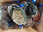 Les Viviers de Porsguen - Ormeaux - 1 kg