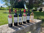 Vignobles Fabien Castaing - Lot AOC Bergerac : Rouge et Rosé