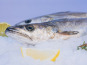 Côté Fish - Mon poisson direct pêcheurs - Merlus 500g