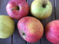 Ferme du Mont de Cuy - Pommes Mélange de variété - 1kg