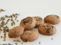 L'Atelier Contal - Paysan Meunier Biscuitier - Cookies Exquis - Farine de Sarrasin et pépites de chocolat - 100g