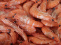 La Paysanne des Mers - Crevettes cuites bio 100/120 - 300g