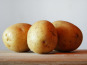 Le Châtaignier - Pommes De Terre Agatha - 2kg