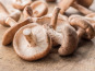 Les champignons de Vernusse - Shiitakes frais - 1kg