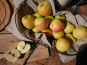 Le Verger de Crigne - Pommes Golden Bio (petit Calibre) - 10kg