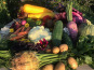Ferme Sinsac - Panier de legumes variés Bio