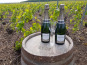 Champagne Deneufchatel - Champagne Deneufchatel Millésime 2 X 75 Cl