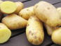 La Ferme du Bois Ramard - Pommes De Terre Pompadour En Conversion Bio 1kg