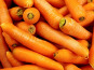 Maréchal Fraicheur - Carottes - 1 kg