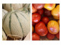 Domaine Reverchon - Melon du Vaucluse x2 + 2kg Tomates anciennes