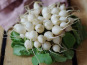 Maison Argentain - Radis Blanc - 200g
