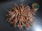 Brest Marée - Langoustine vivante petite cuite 1kg