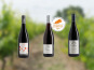 Domaine de la Chopinière du Roy - Coffret cadeau "A la découverte des vins rouges de Loire "- 3 x 75 cl