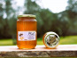 La Truite du Mézenc - Miel de Montagne - 500g
