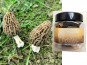 L'Agricueilleur du Suzon - Morilles françaises BIO