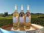 Château Haut-Lamouthe - Côtes De Bergerac Blanc Moelleux - 3x75 Cl