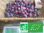 LES JARDINS DE KARINE - Prune Damas surgelée avec noyau - 10kg