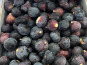 Délit de Gourmandise - Figues Noires Fraiches Bio - 8 kg