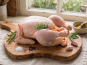 Terres de Bon Sens - Poulet BIO medium env 1,9kg