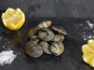 Fine de Cancale - Palourdes Moyennes - 3kg