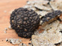Truffes des Roches - Truffe d'été fraîche FRANCE - 300g