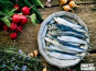 Brest Marée - Sardines - 500g
