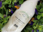 SCEA Brebis du Berry - lait de brebis x12