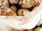 Ferme Joos - Pommes de terre nouvelles Adora - 5Kg