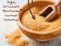 Adal Terra - Farine - Chapelure Bio de Son de Blé Ancien Saveur Antillaise 500G