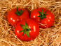 La Ferme de Goas Per - Tomate ronde rouge bio 500gr