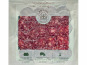 L'OLIVERAIE DU COUDON - SAUCISSON DE BELLOTA 100% IBERIQUE ( PATANEGRA ) BLISTER 100GR