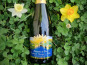 Domaine Truchefaud - Clairette de die AOC - Tradition
