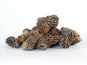 Truffes des Roches - Pieds de Morilles séchées - spécial sauce 50g