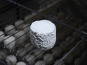 Alléosse Maitre Artisan Affineur Fromager - Bonde de Gatine au lait cru