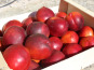 Domaine Reverchon - Nectarine Jaune 2Kg
