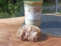 Domaine du Catié - Langues confites 700g