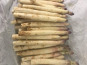 Des Poules et des Vignes à Bourgueil - Asperges blanches des sables de Bourgueil
