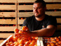 Gobert, l'abricot de 4 générations - Abricots 18kg