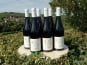 Domaine Doudeau-Leger - Vent d'Ange - Vin de Pays du Val de Loire Rouge IGP 2022 - 6 Bouteilles